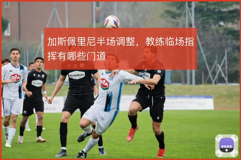 加斯佩里尼半场调整，教练临场指挥有哪些门道